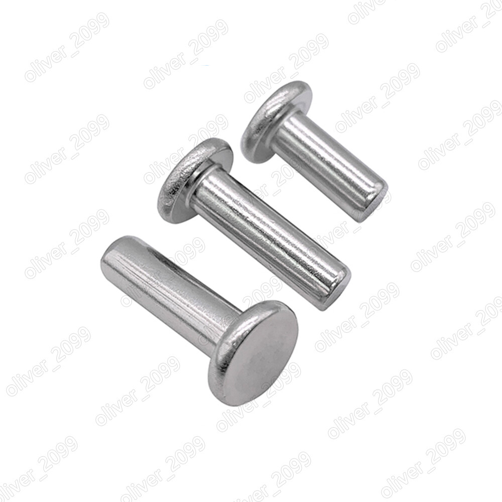304 Stainless Steel Flat Head Rivets M2/M2.5/M3/M4/M5/M6/M8