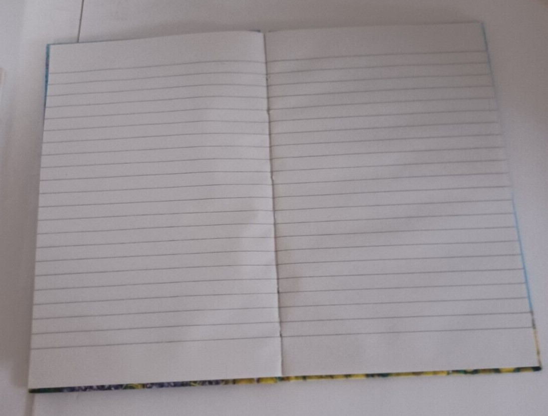 Journals Diary Books 2 Lot Set Diaries Writing Thoughts Memories Lined Notebooks