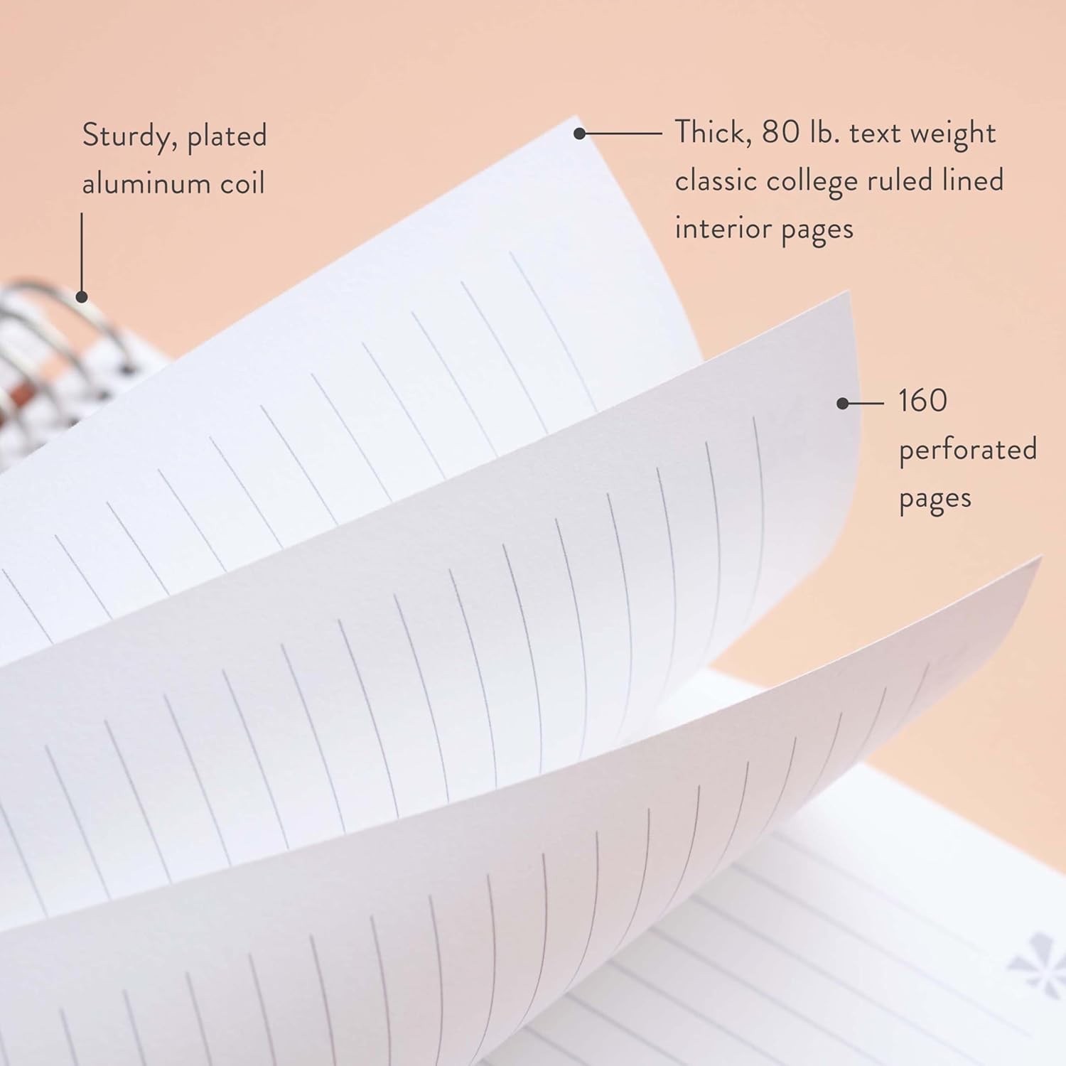 Erin condren Hello Kitty 2025-2026 Academic Planner 840114774493