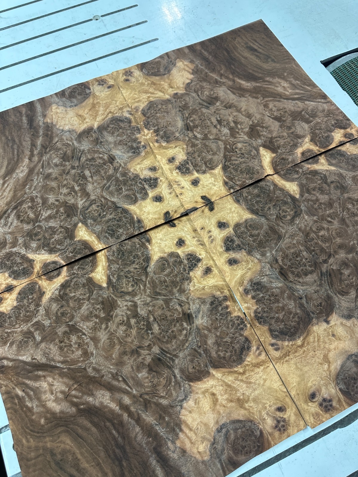 Walnut Burl Raw Wood Veneer 2 sheets 11″ x 11″ 522G