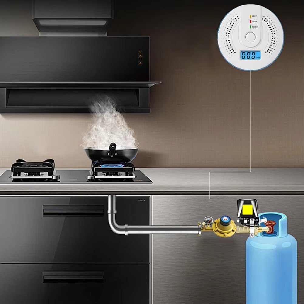 Carbon Monoxide Detector Warning Safety Alarm Sensor LED Digital Battery Powers