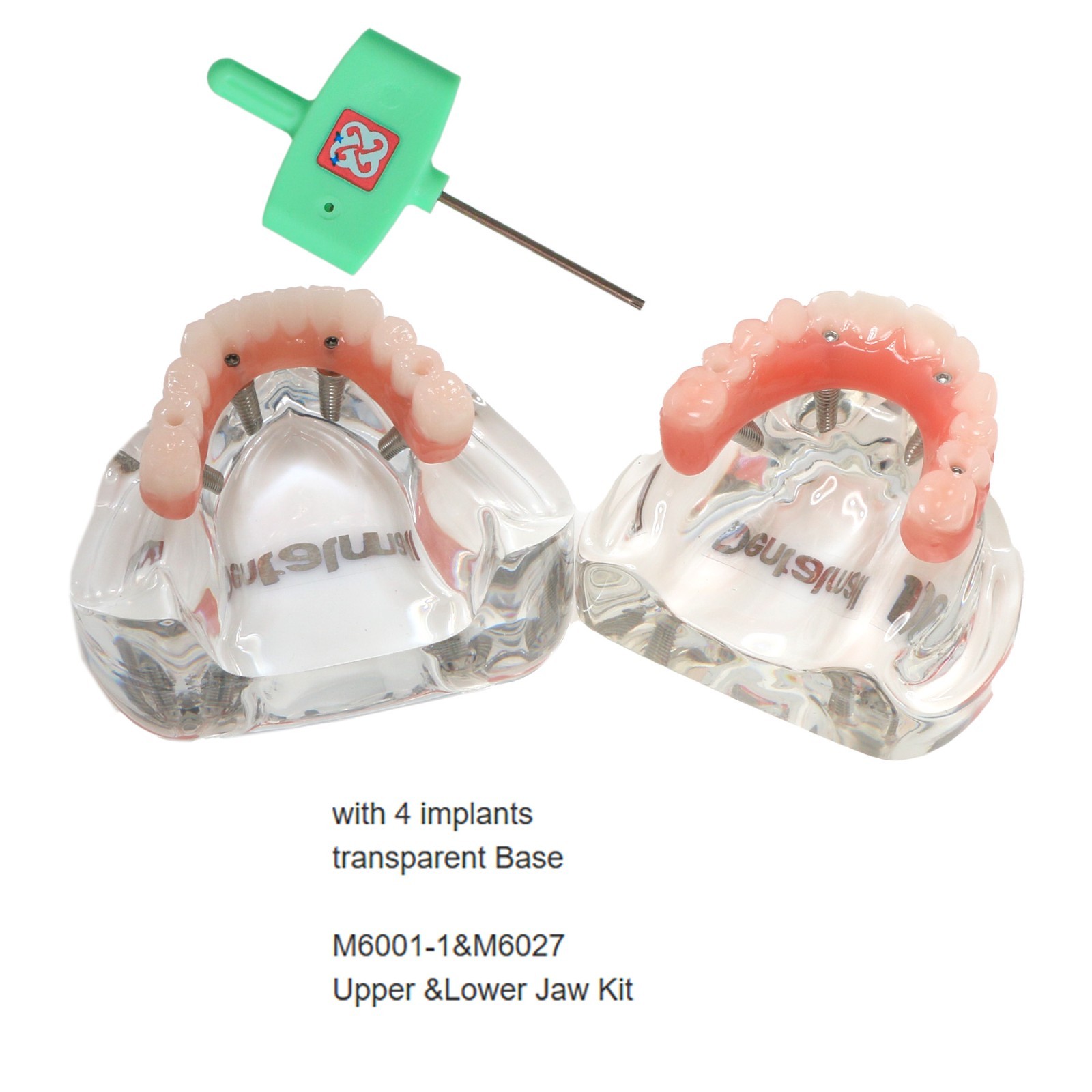 All-On-4 Dental Implant System Overdenture Treatment Teeth Model U/L Jaw W/screw