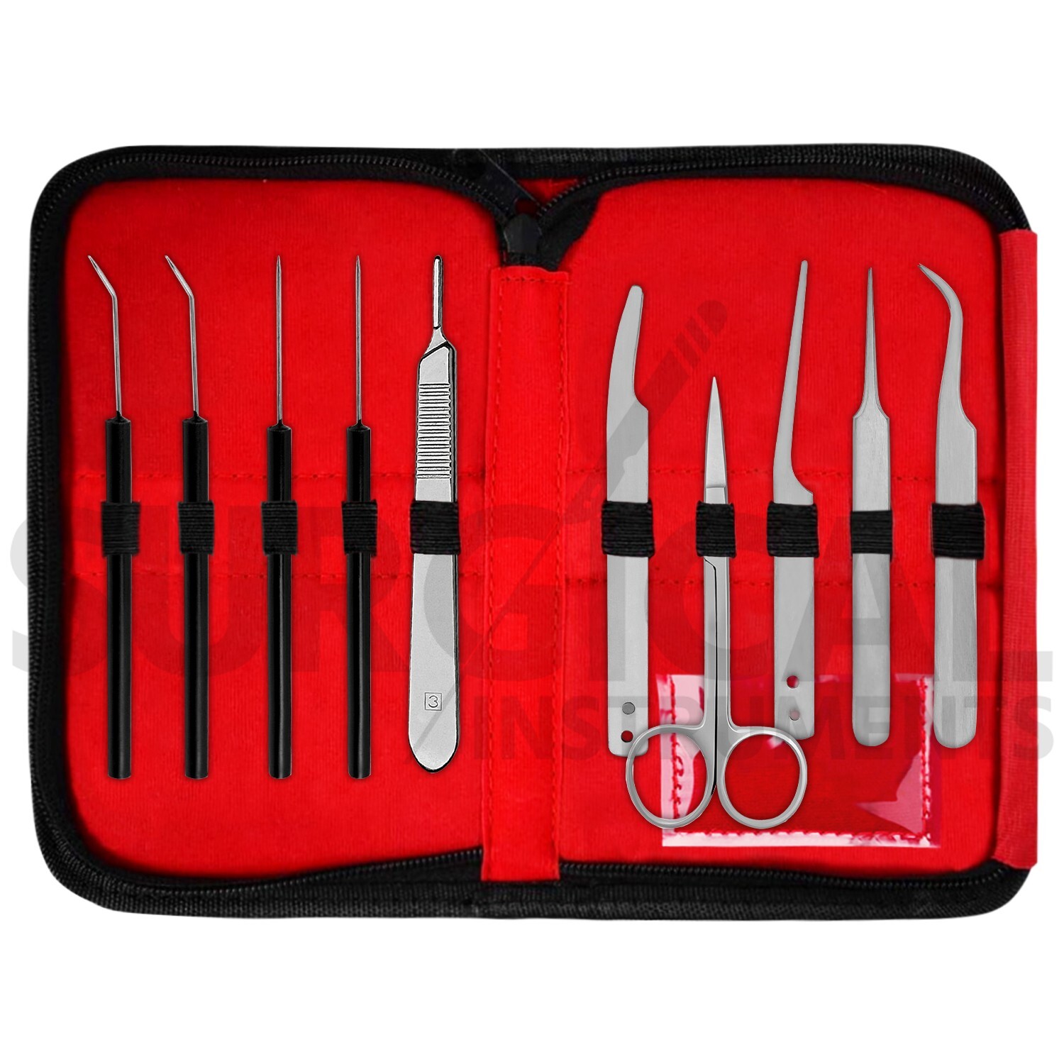 10 pcs Entomological Dissecting Instrument Kit Set Stainless Steel German Grade
