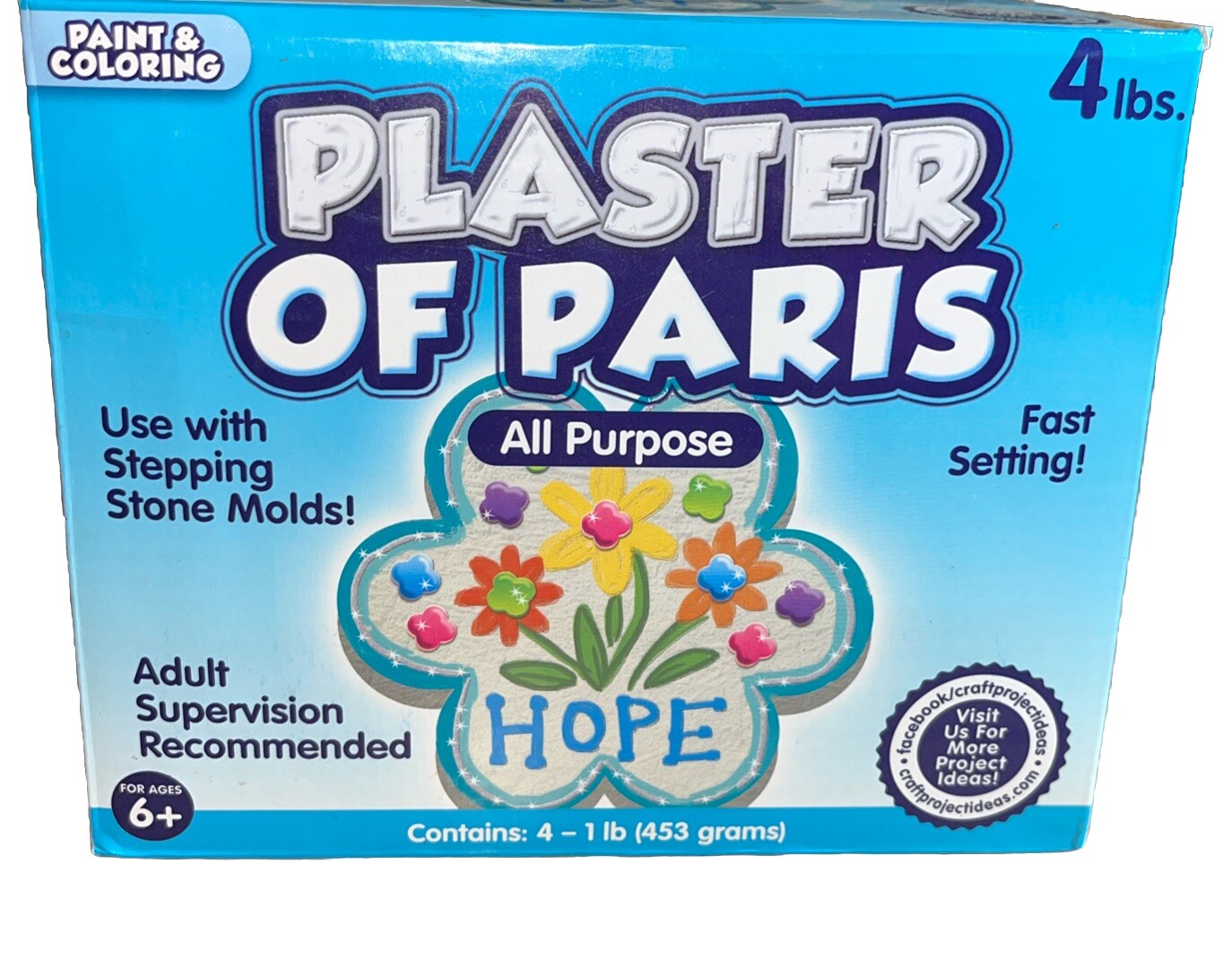 Plaster of Paris, ALL PURPOSE Sets In 20 To 30 Minutes – 4 Lbs Paint & Color