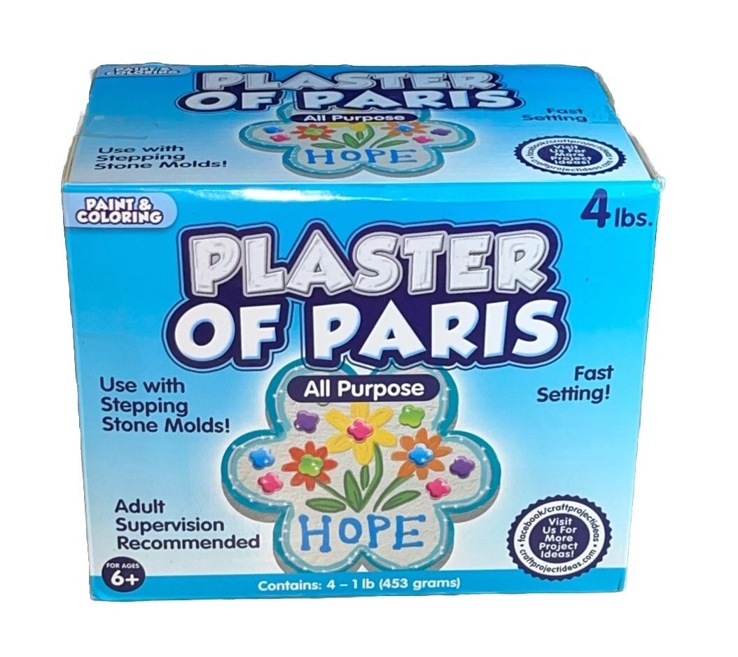 Plaster of Paris, ALL PURPOSE Sets In 20 To 30 Minutes – 4 Lbs Paint & Color