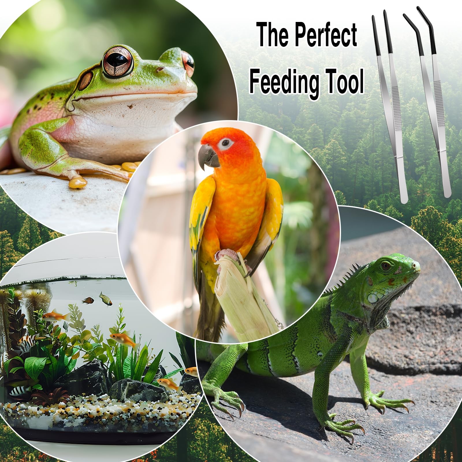 Long Feeding Tongs Stainless Steel 2PCS 11.8 Inch Rubber Tip Reptile Aquarium Tw