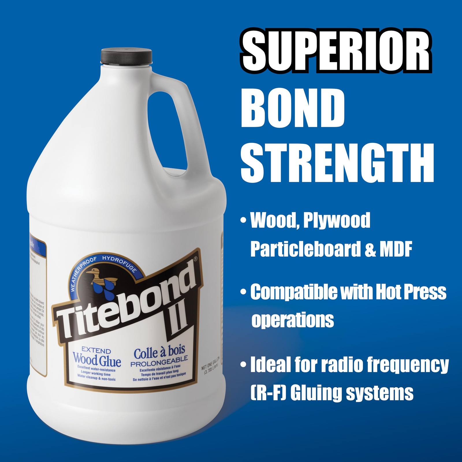 4134 Extend Wood Glue Bottle, 16 oz.