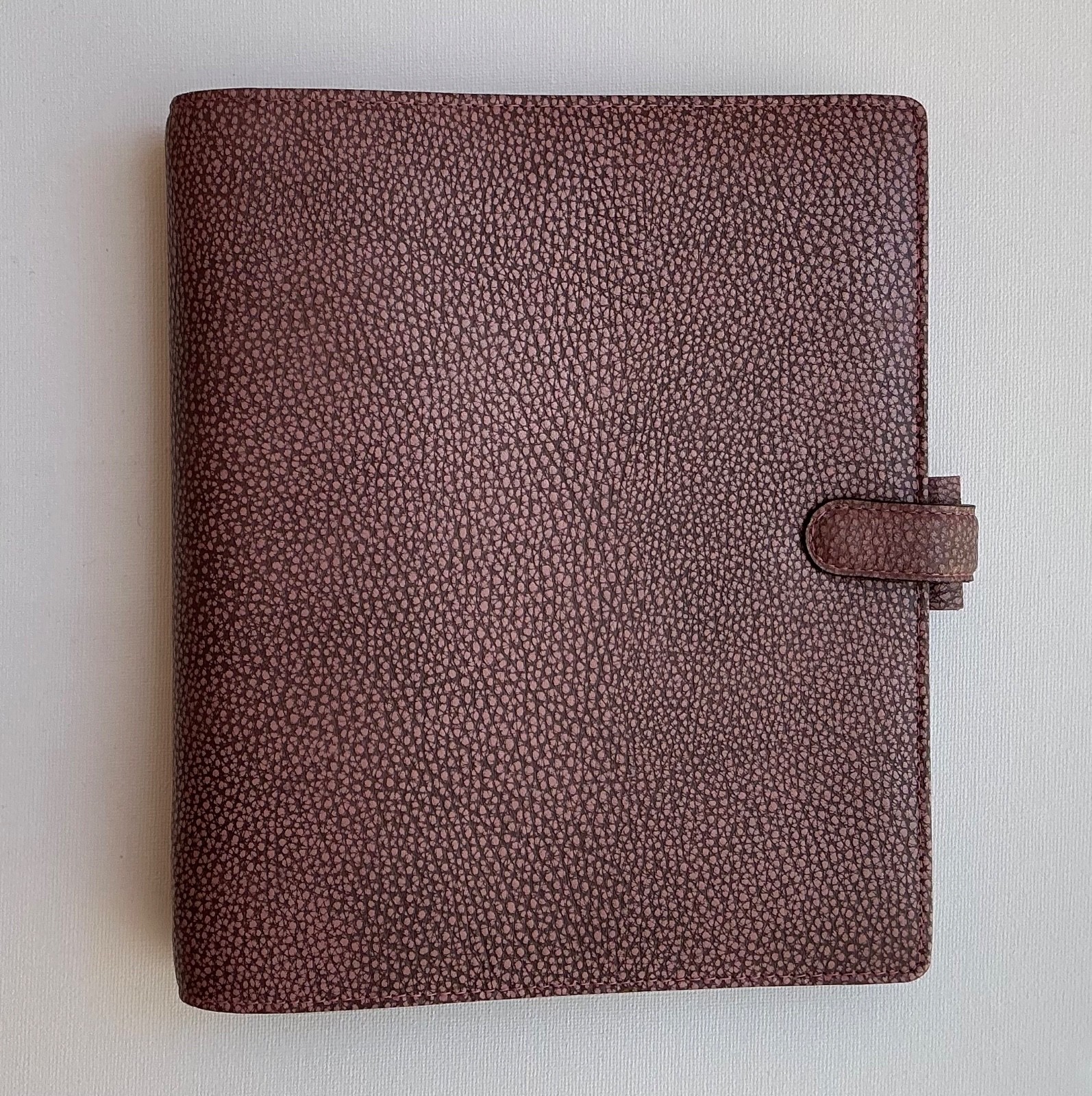Filofax A5 Finsbury Leather Planner in Hard-to-Find Antique Rose Leather – RARE