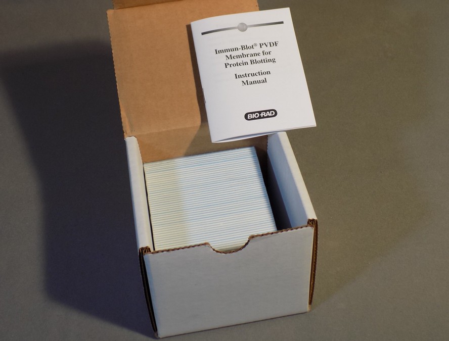 2-Pkgs Bio Rad Immun-Blot PVDF Membrane Sandwiches 7 x 8.5cm 0.2um 162-0219