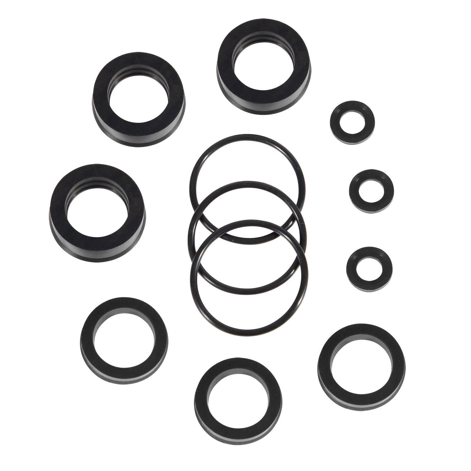 76975 Seal Kit 12Pcs For Cat Pump 4DNX Pumps 4DNX25GSI 4DNX27GSI CAT Seal Kit