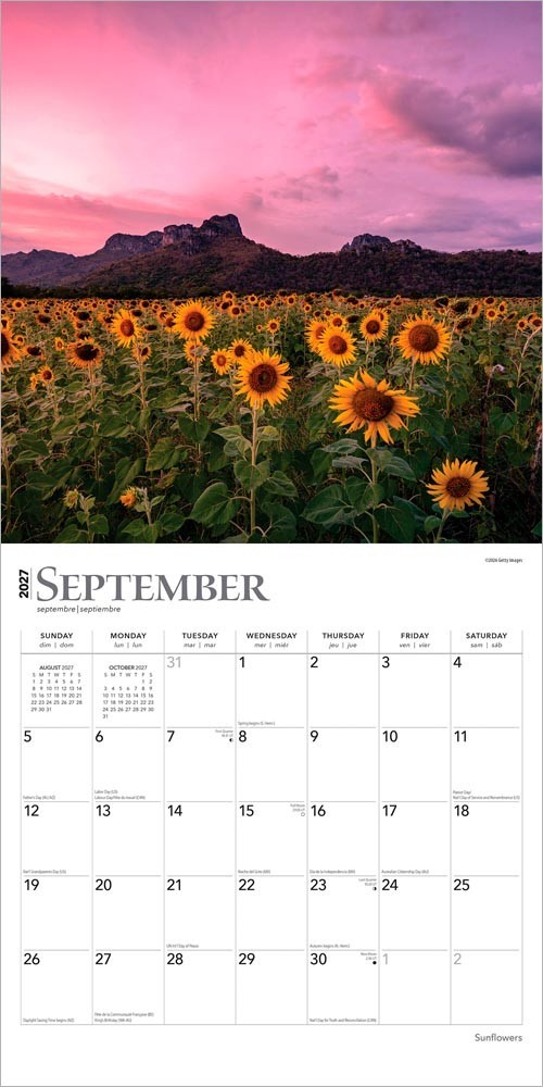 Sunflowers | 2027 12×24″ (Hanging) Monthly Square Wall Calendar | Plastic-Free