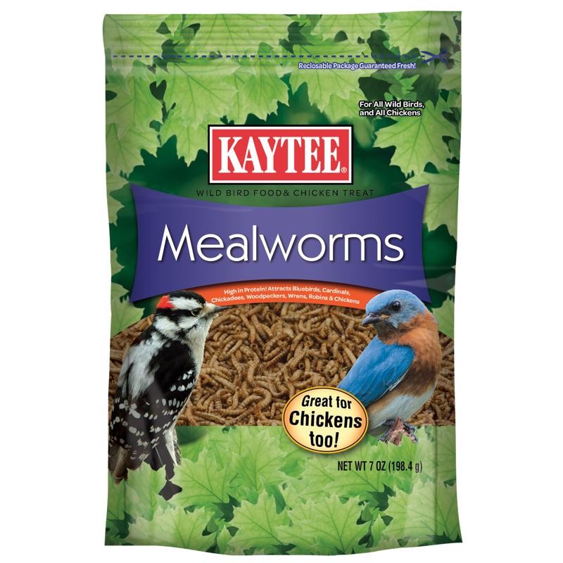 Kaytee Bluebird Dried Mealworm Mealworms 7 oz (Pack of 6)