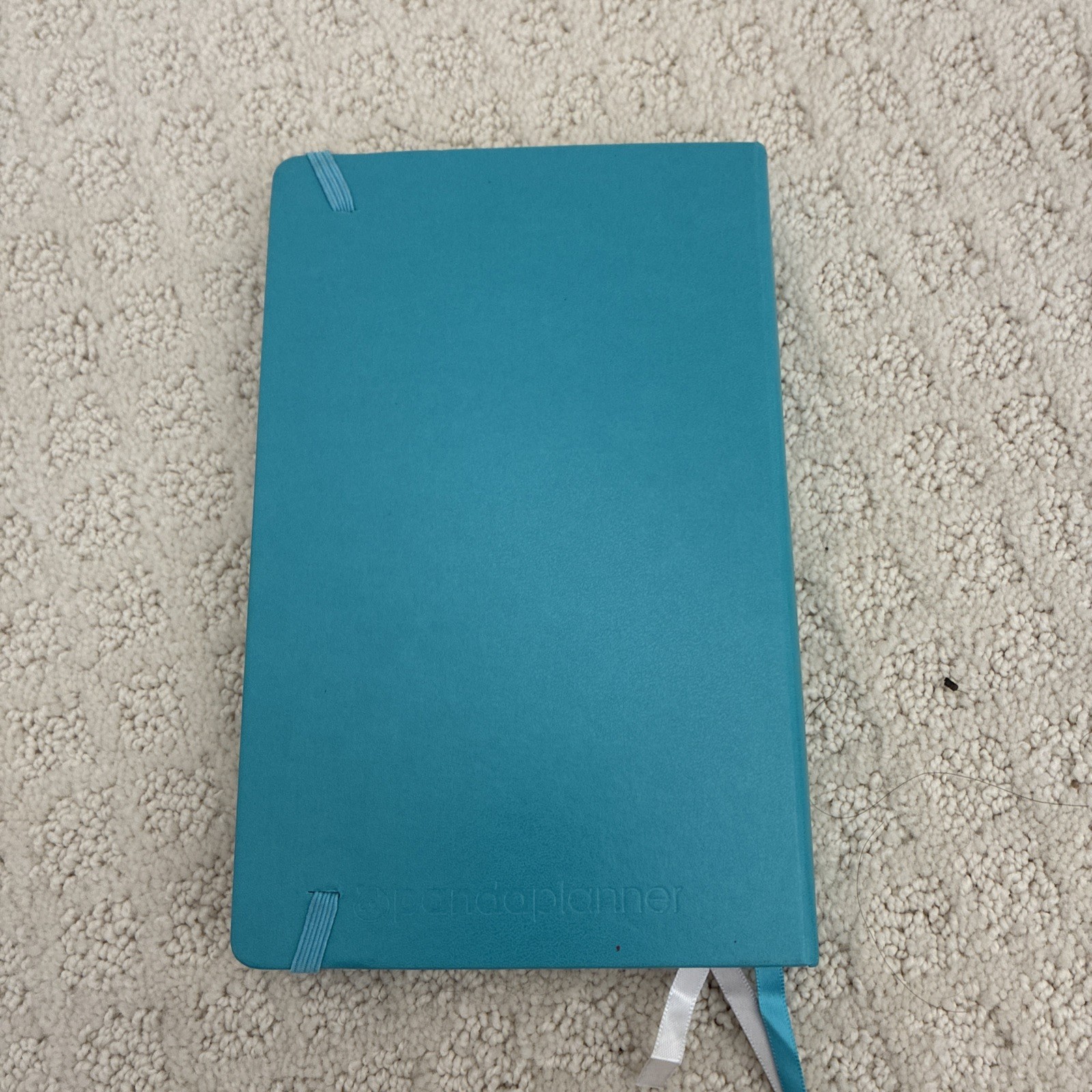 Panda Planner Undated Daily Planner Daily, Weekly, Monthly Teal Hardcover
