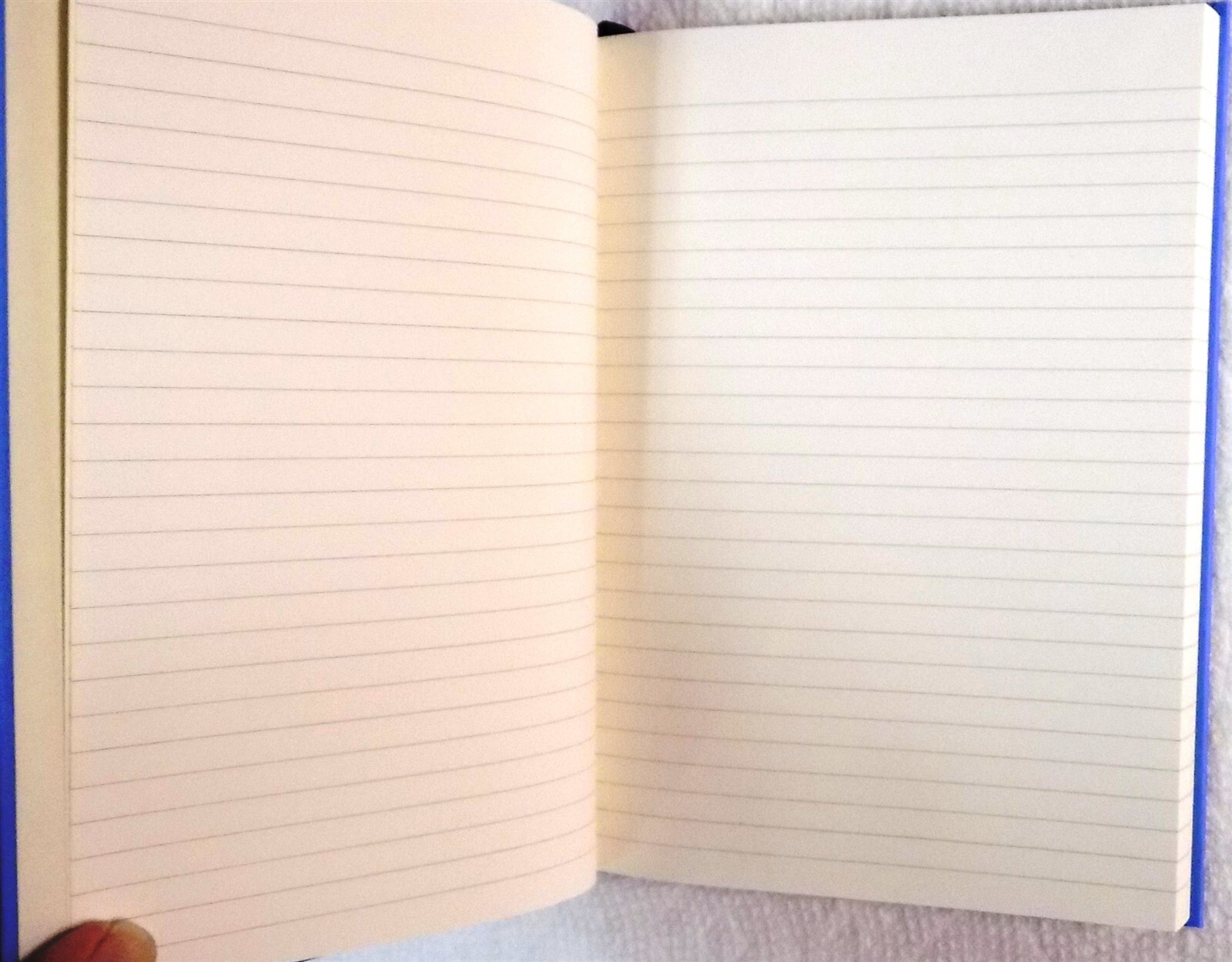 Lot of 2: Papier «Big Plans, And Always Growing» My Notebook/Academic Planner HC