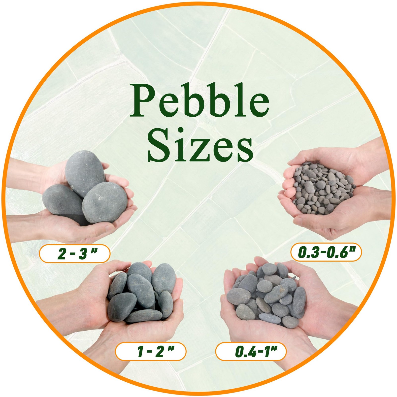 5 lbs Natural Mexican Beach Pebbles, 1-2 Inch Large River Rocks for Plants an…