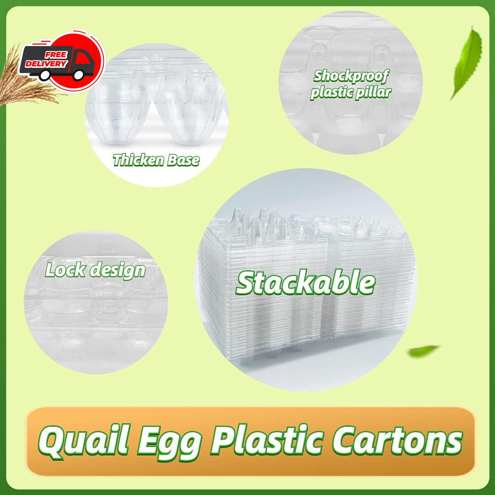 50 Pcs Quail Egg Cartons,12 Grids Small Egg Storage Holders,Quail Eggs Bulk Cart