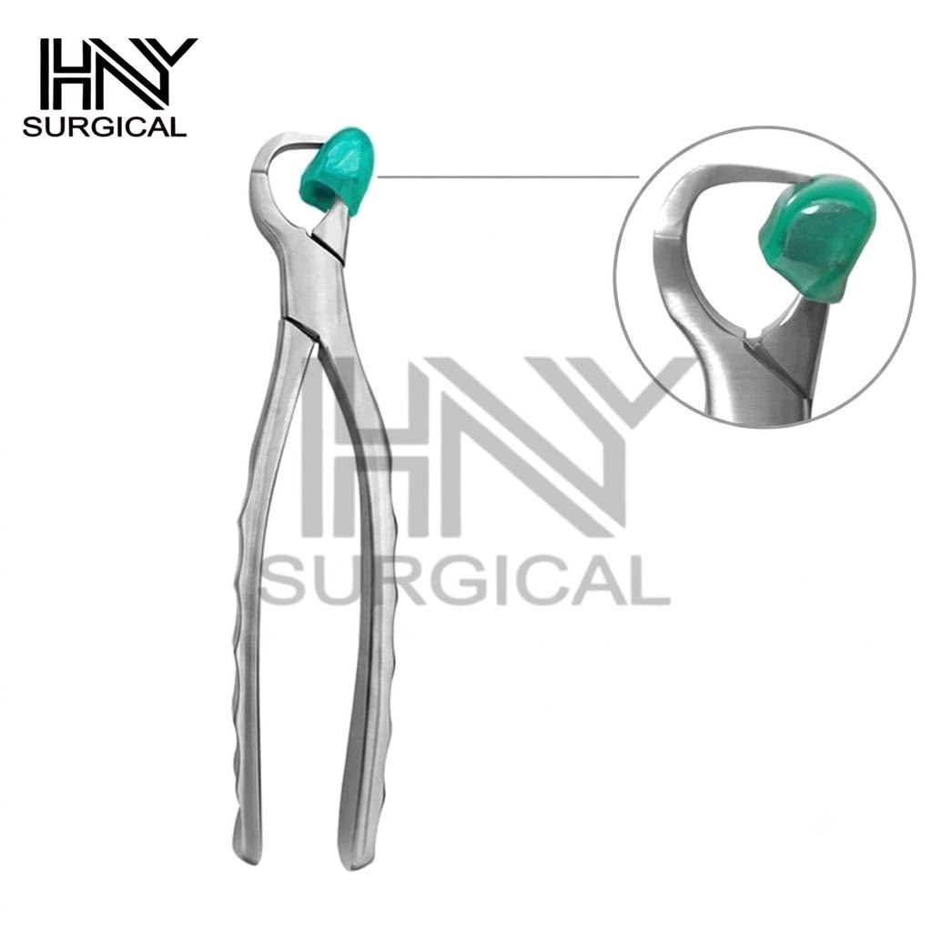 Dental Extraction Physics Forceps Standard Series Set of 4 Pcs with Bumpers