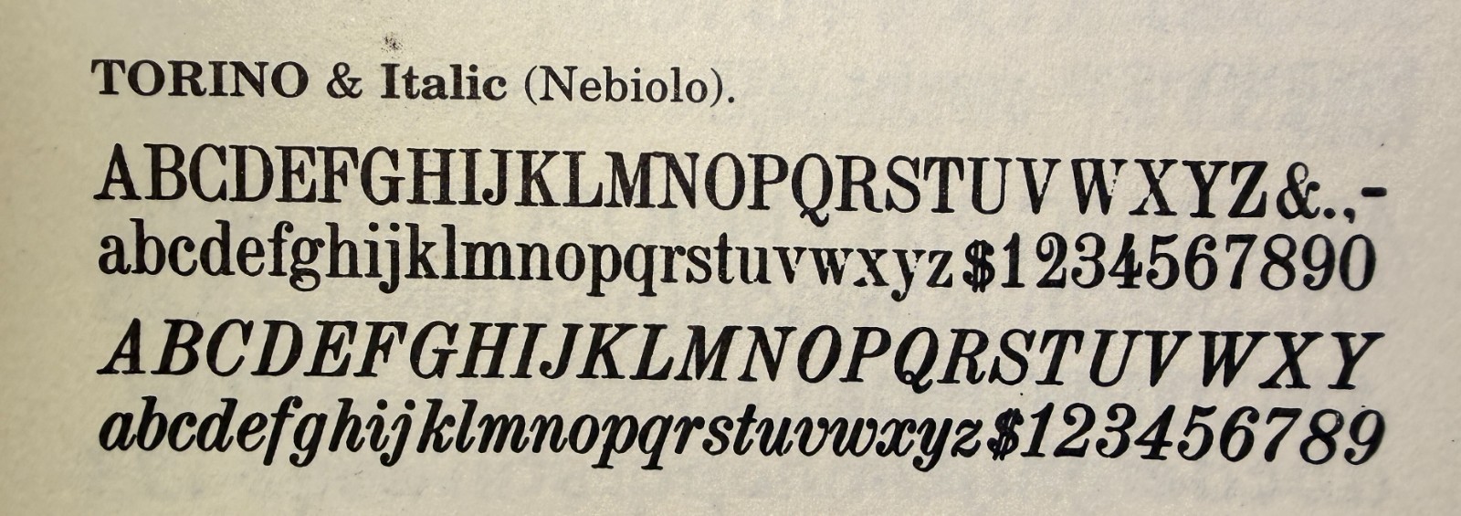 24 pt Torino Italic (Nebiolo) type for letterpress printing