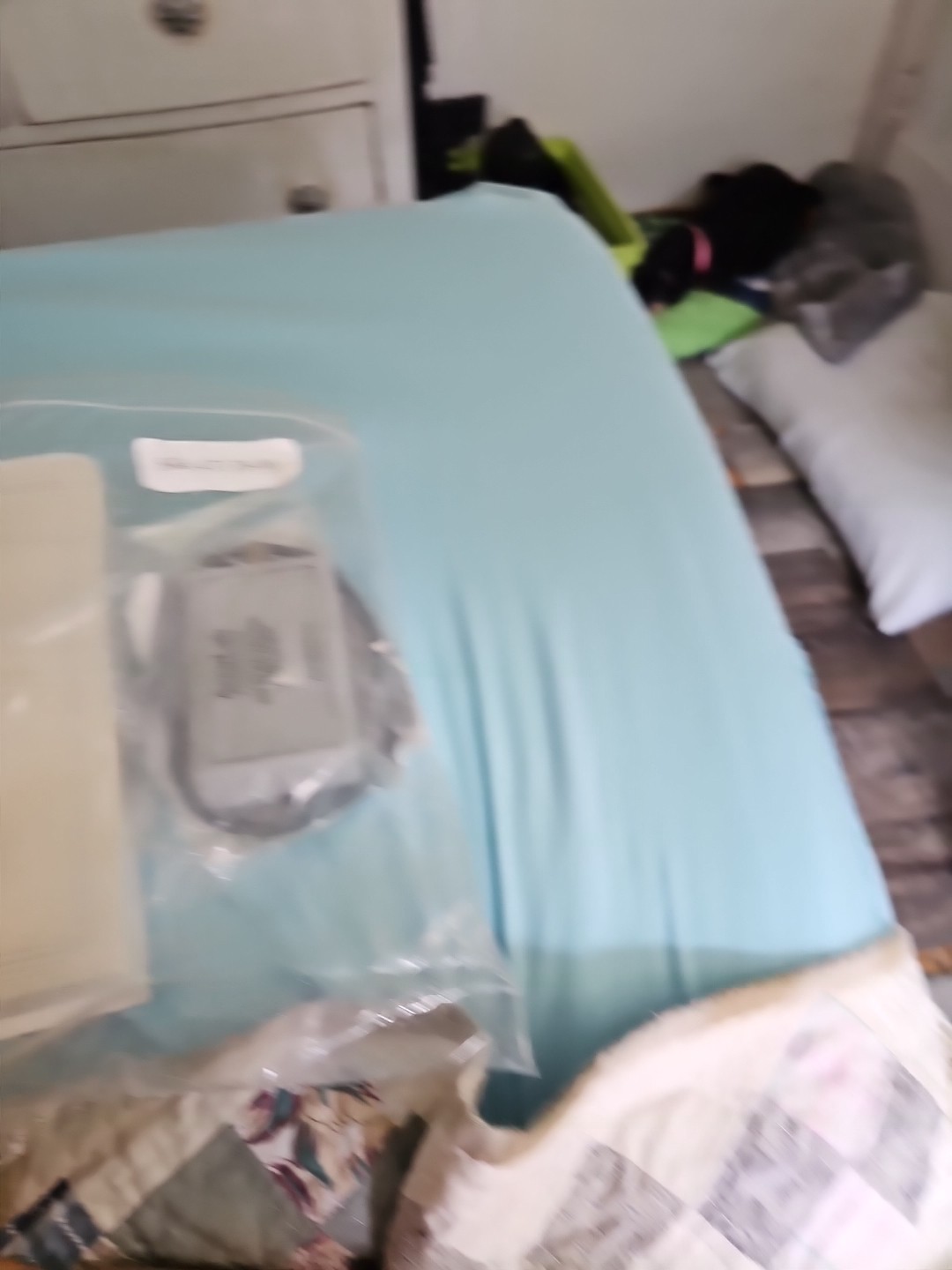 pH Electrode And Amplifier Acculab