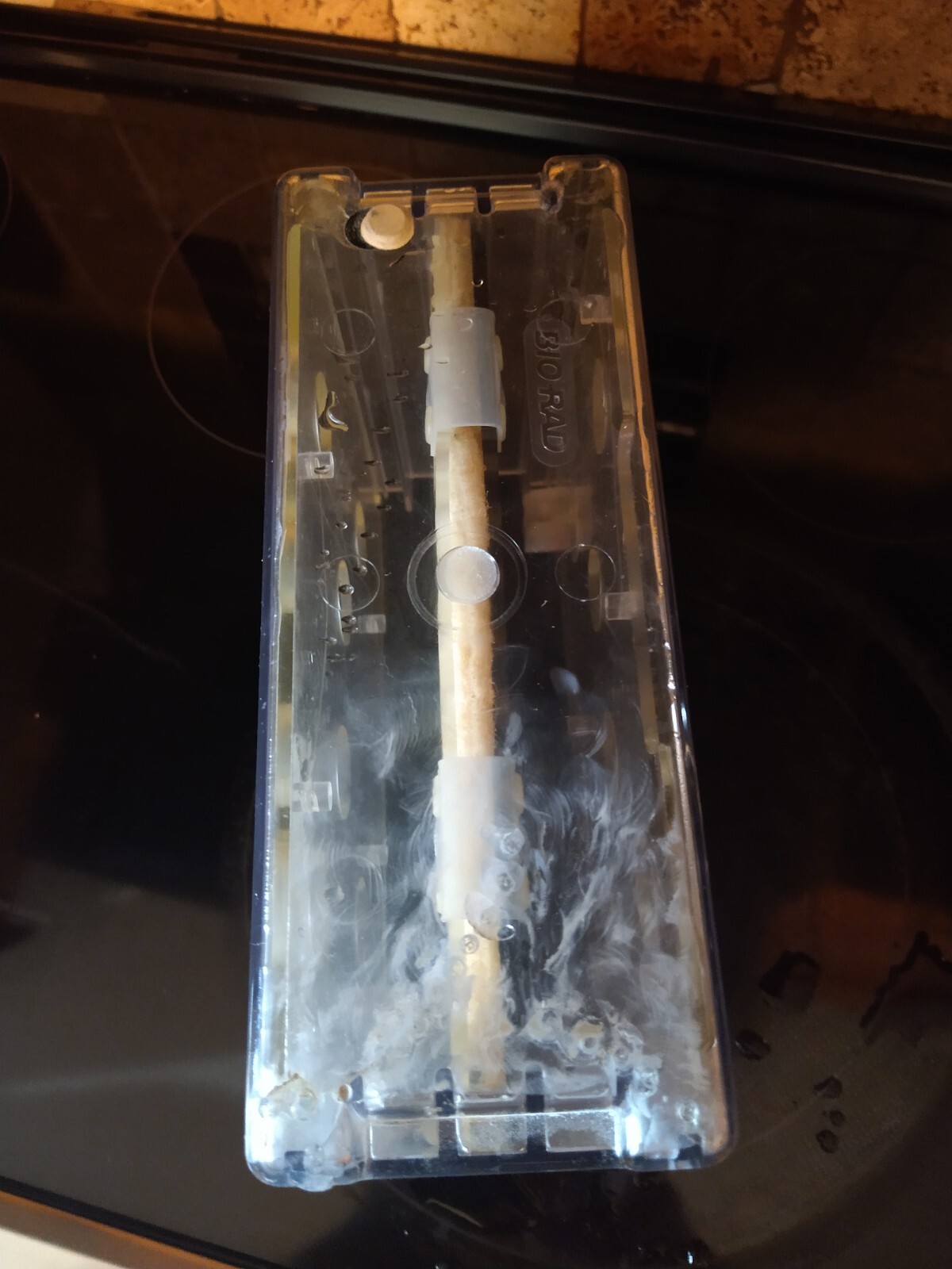 Gel Electrophoresis and ImmunoBlot Devices