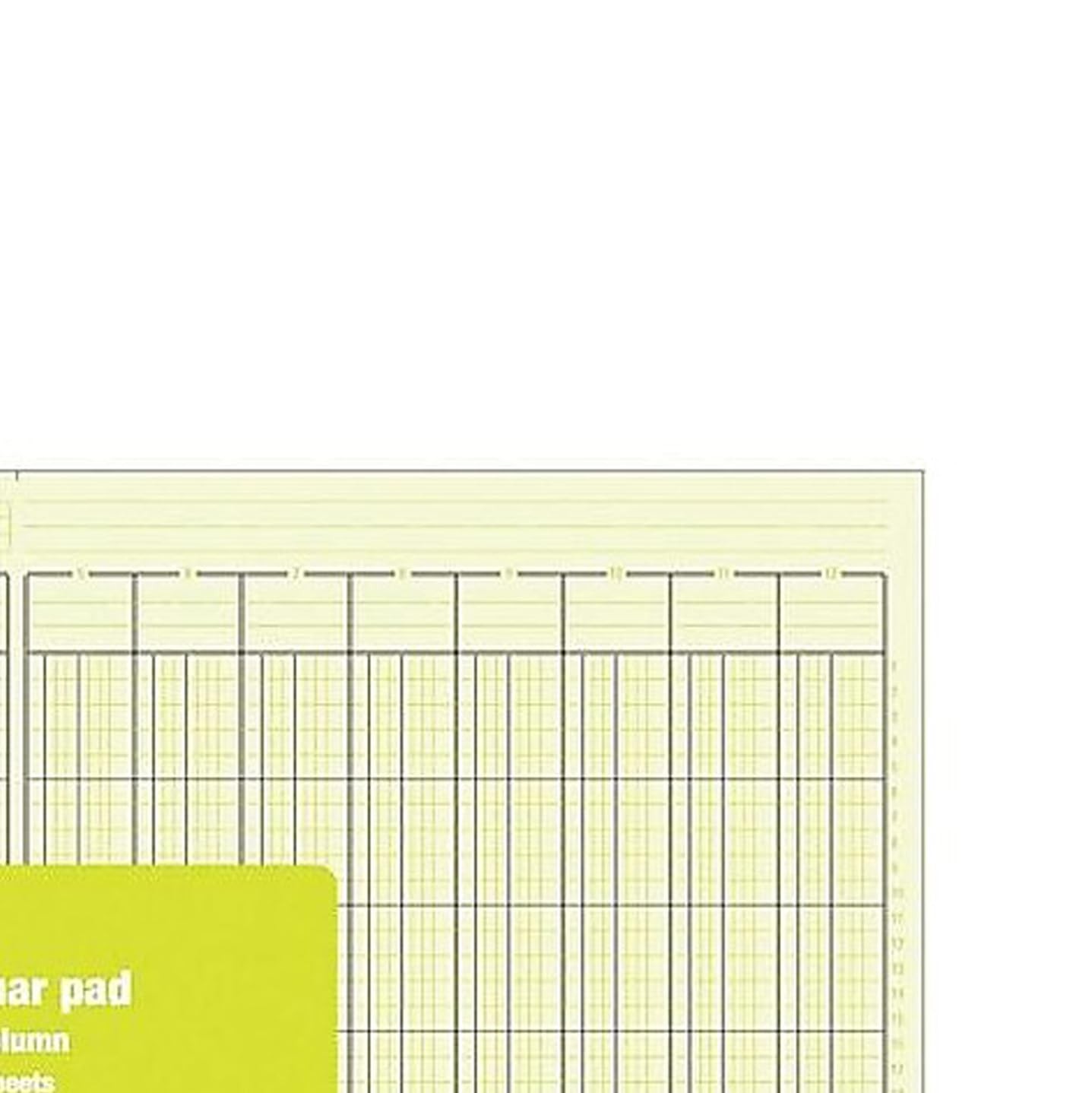 Staples® Columnar Book, 12 Columns, 16.31″ x 11″, Green, 50 Sheets/Book Green