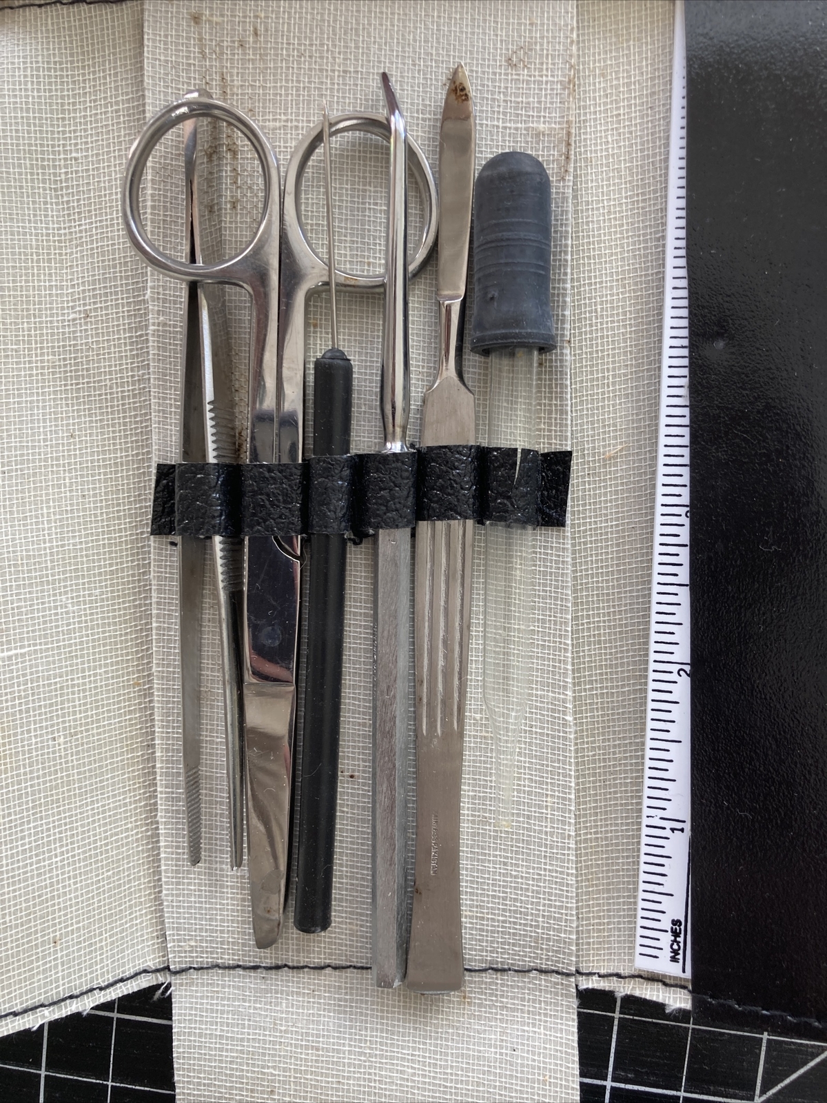Student Dissecting Instrument Kit Lot of 3 (variable assortments) Forensic
