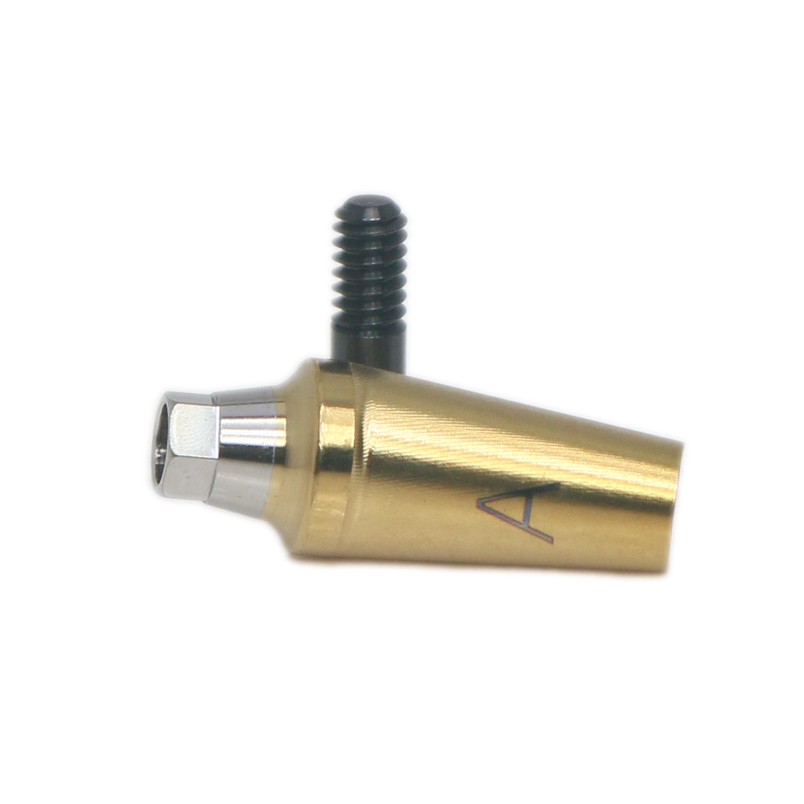 17° Angled Anatomic Abutment Regular Ø5.0mm For Hiossen Osstem Platform Implant
