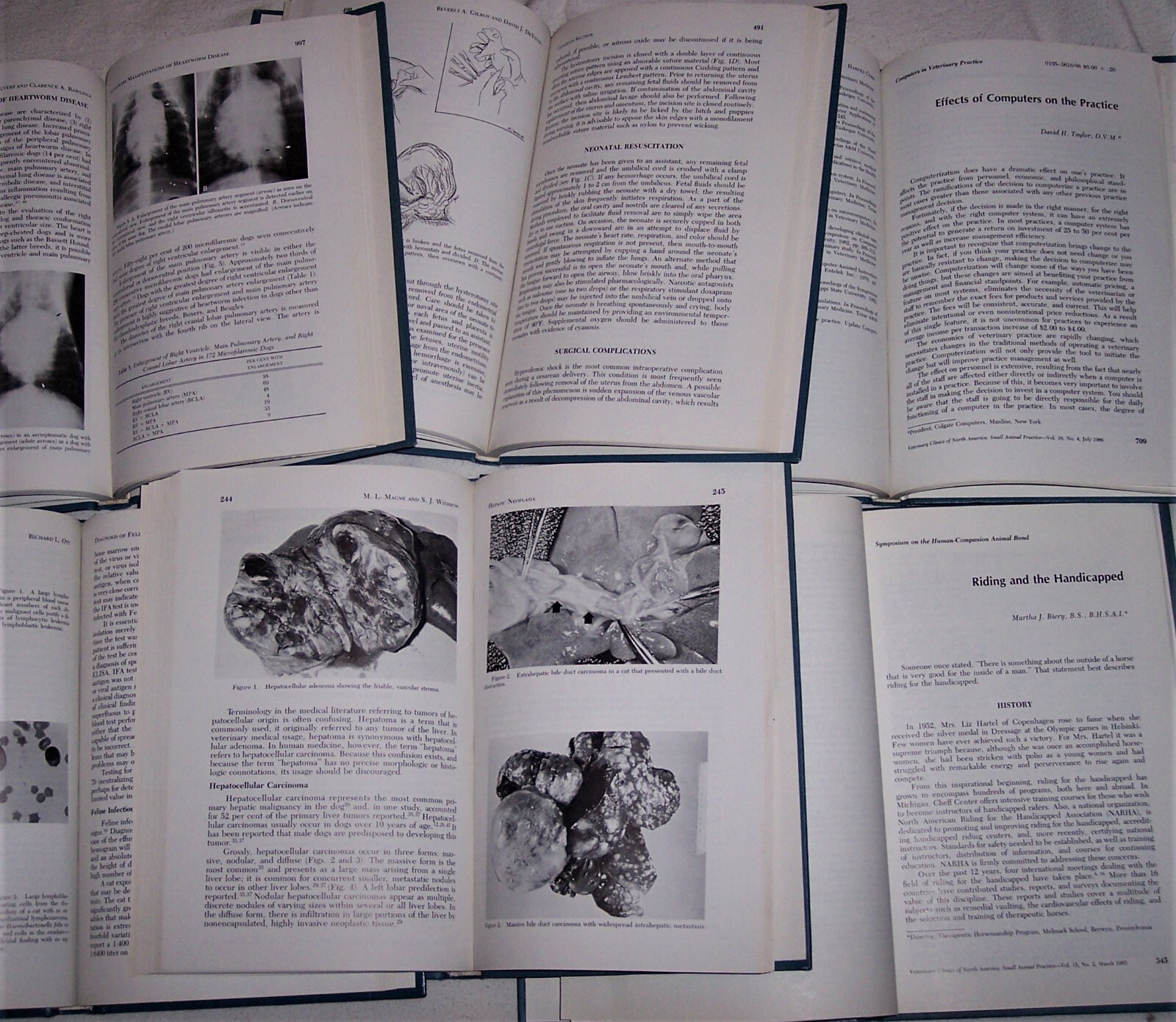 Veterinary Clinics of America Book G5 LOT of 8 Sm Animal 1985-87 As-Is Sale READ