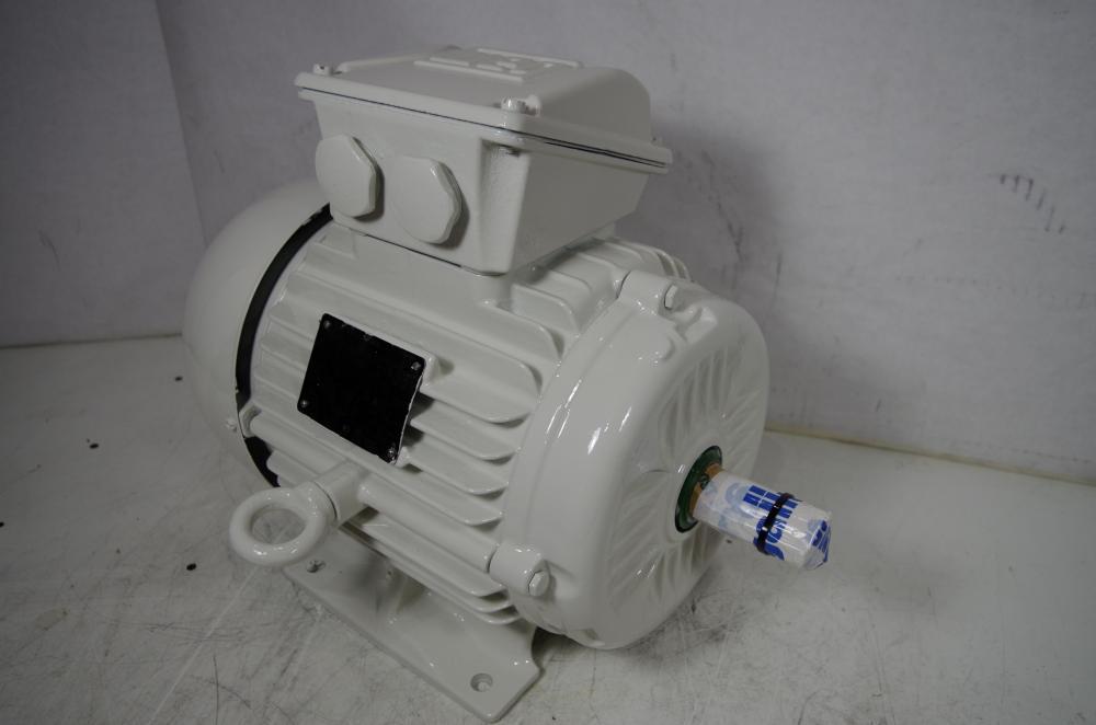 WEG AC MOTOR W22 PREMIUM 5.5KW 7.3HP IP55 480VAC 60HZ. 3500RPM WASHDOWN