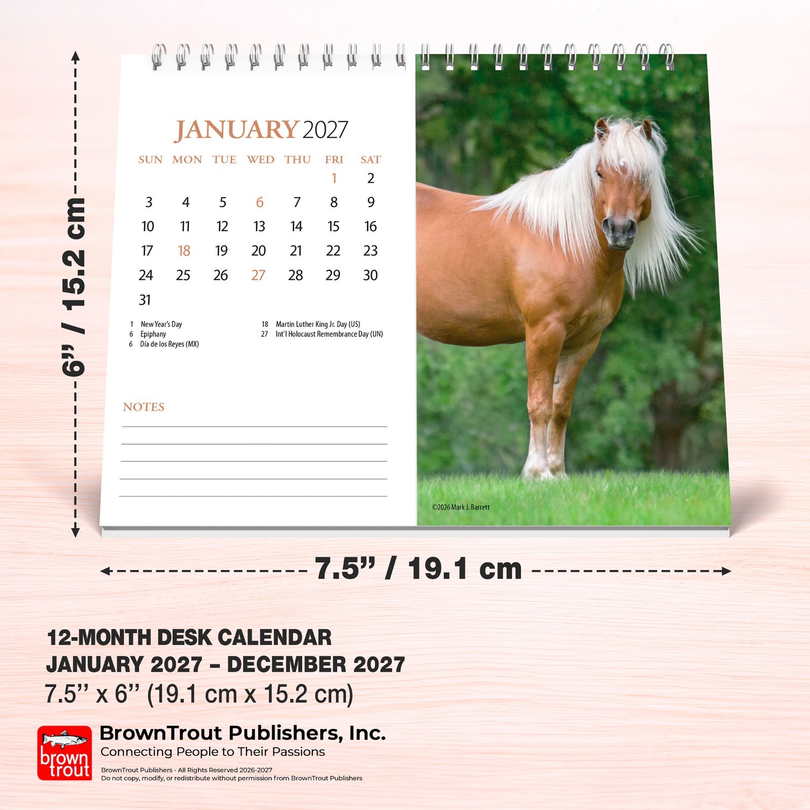 Horse Lovers | 2027 7.5×6″ Monthly Double-View Easel Desk Calendar