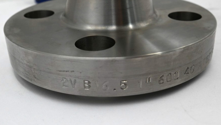 SAIP LA.1.1,5.10.X.F.E 1 600RS PULSATION DAMPENER TAG: OP-4201-DP2