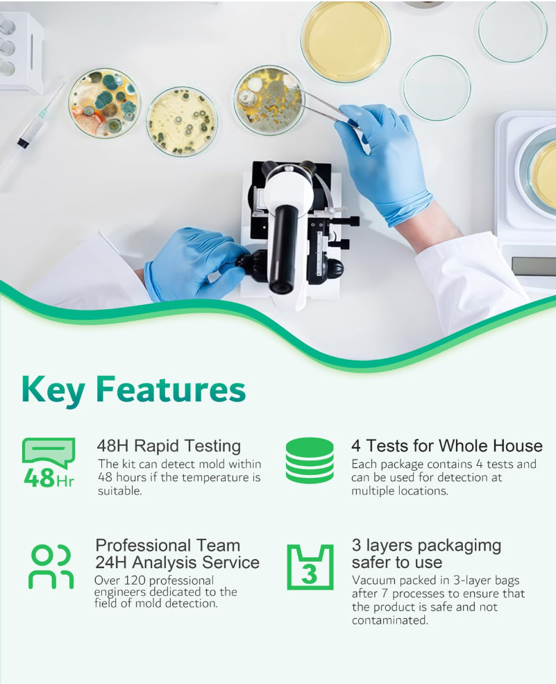 Mold Test Kit for Home Air: DIY Mold Detector with 4 Simple Detection Tests, USA