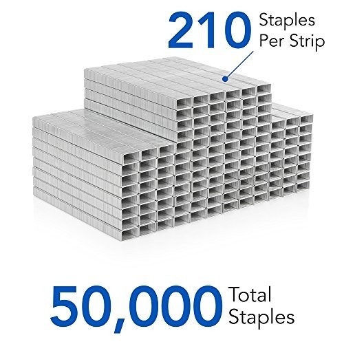 Standard Staples 1/4″ Chisel Point 25 Sheet Capacity 50,000ct 10 Boxes