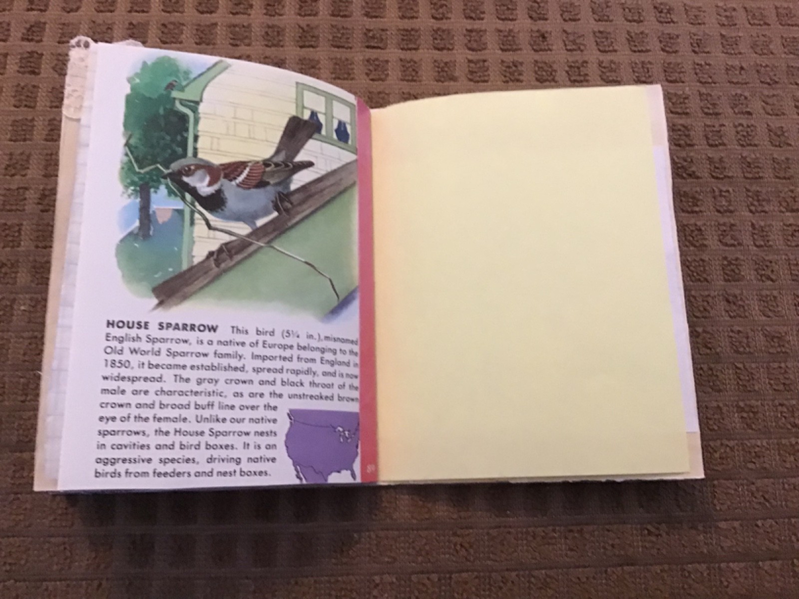 Handmade Naked Junk Journal 5-1/2” x 4-1/4” Mushroom & Leaves Print Cover