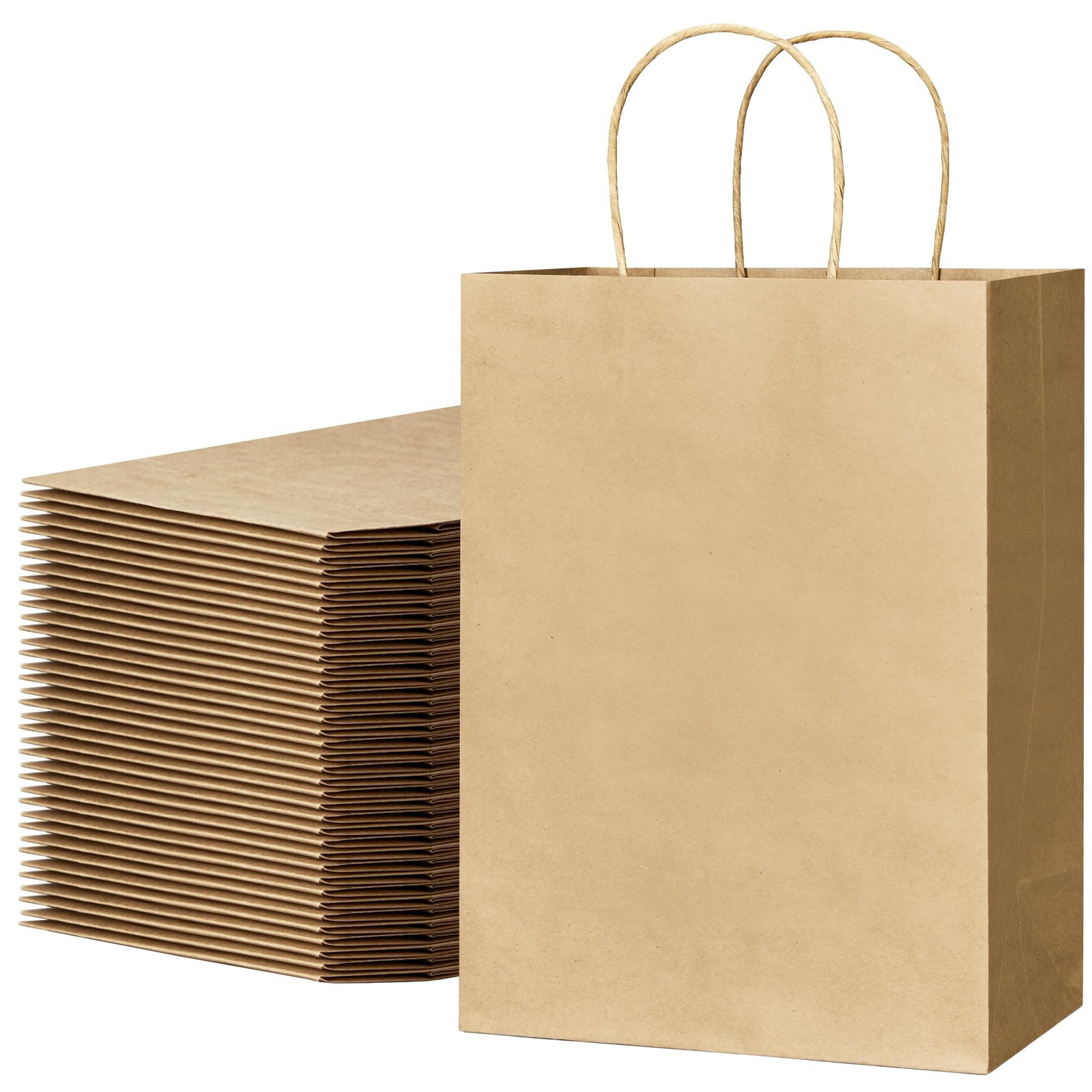 ECOEXTRA Gift Bags 100Pcs Brown Paper 1 count (Pack of 100), Medium