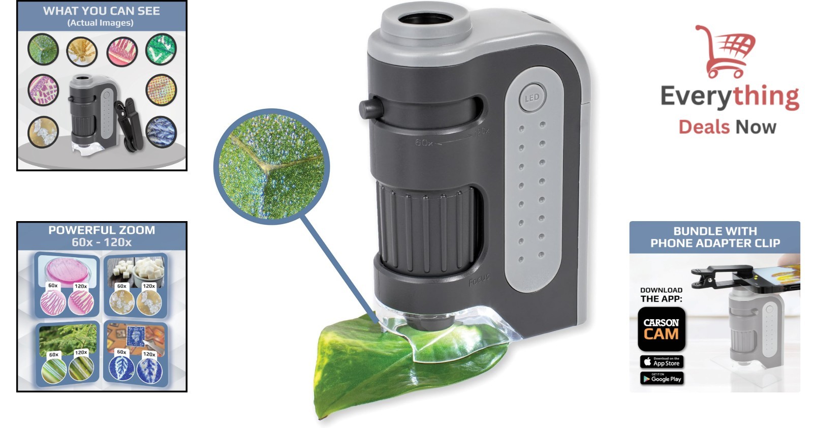 60x-120x LED Pocket Microscope Portable Handheld Mini Student Science Lab STEM