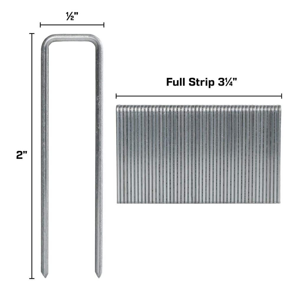 PowerStaples 2″ x 1/2″ 15.5 Gauge Steel Hardwood Flooring Staples 1,000 Pack