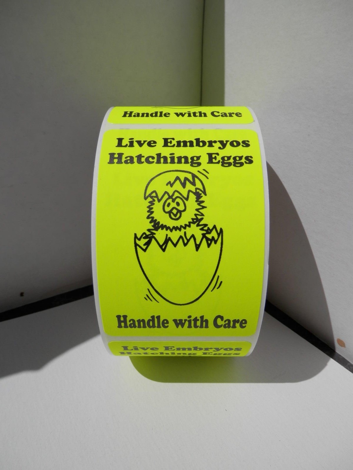 250 Sticker Label LIVE EMBRYOS HATCHING EGGS HANDLE/CARE 2×3 Fluor Chartreuse