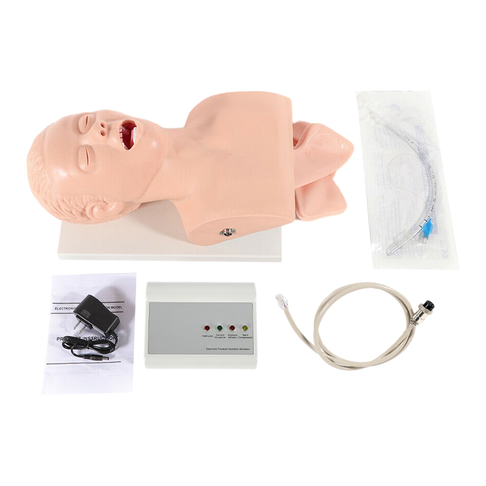 Airway Management Trainer Study Adult Oral Intubation Manikin Teaching Model NEW