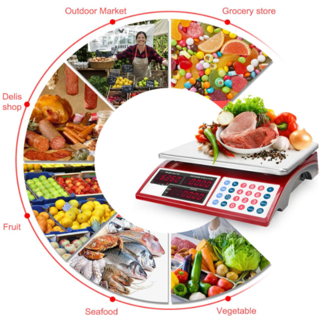 Báscula comercial digital 30 kg con cálculo de precio y doble pantalla LED