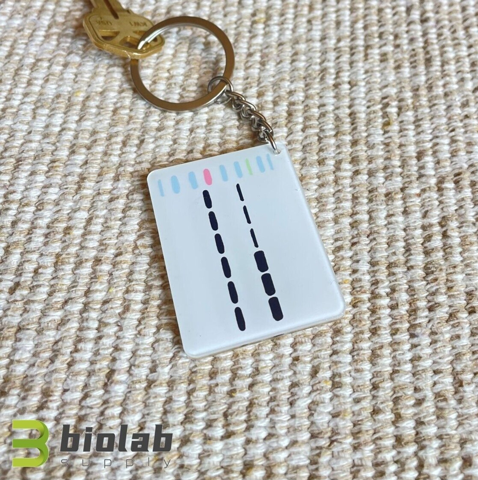 Western blot keychain, Original design research keychain