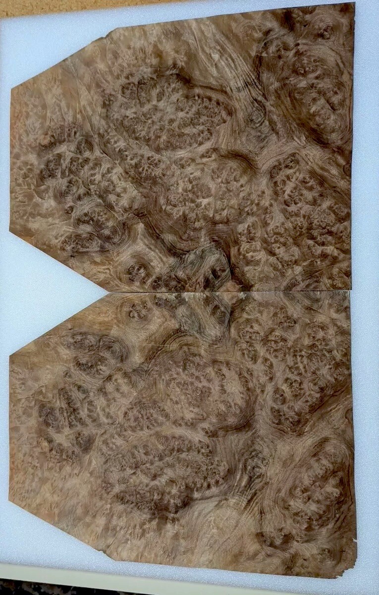 Walnut Burl Wood Veneer, 14.25” W x 18.25 “ L , Raw No Backing, 1/42” Thick