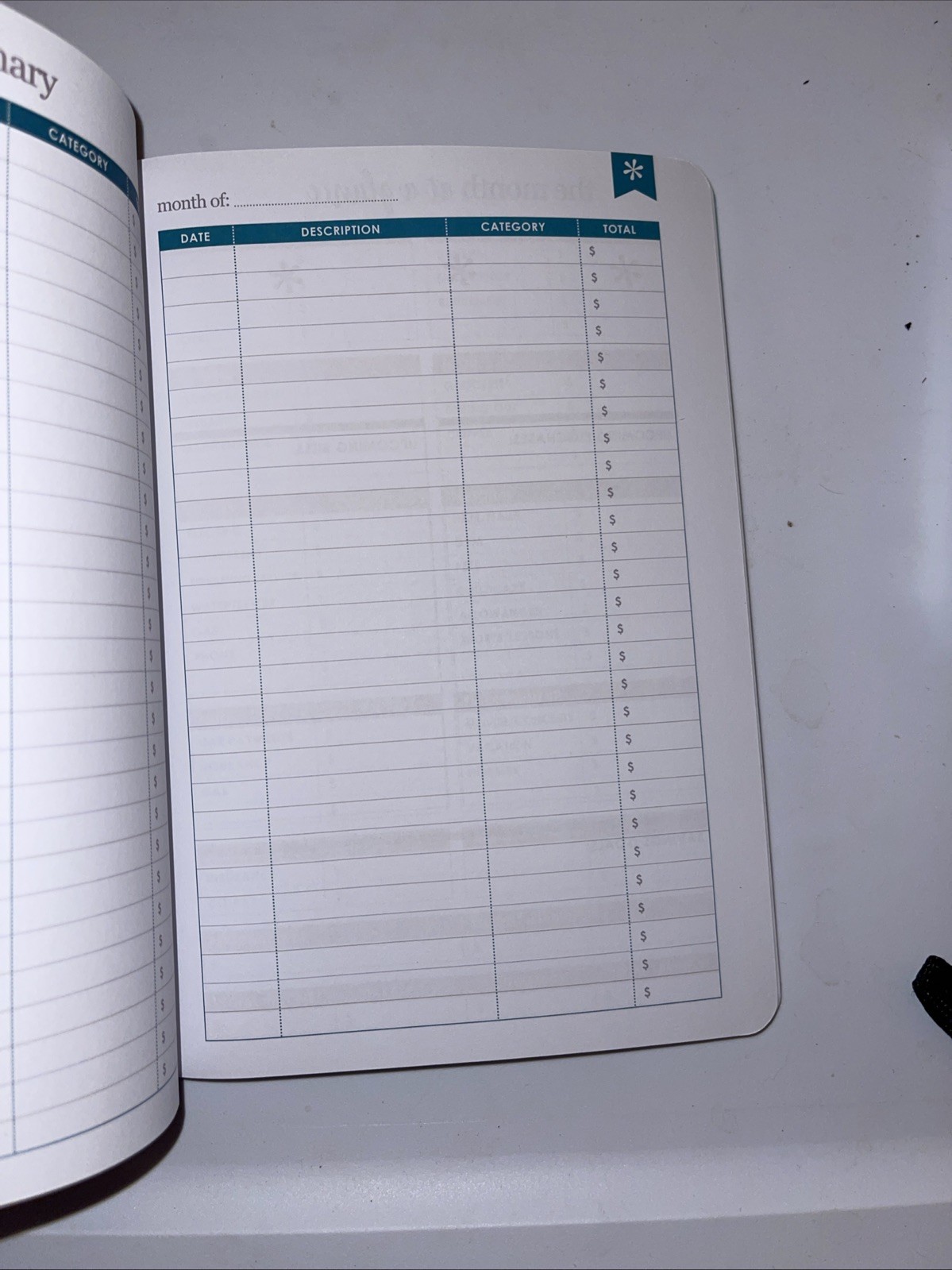 Erin Condren Budget Book 13 Month Planner Geometric Rainbow 8.5 in x 5.75 in