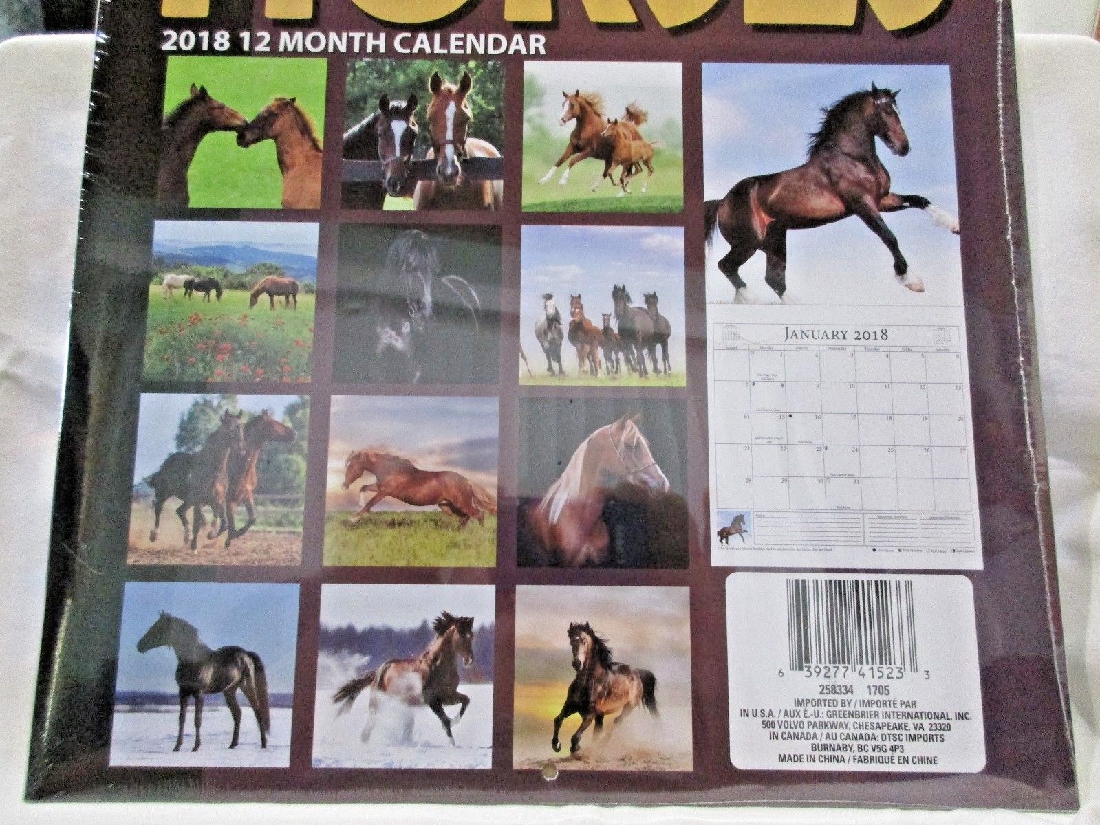 Horses 2018 Calendar 12 Months Pinto Palemino Black Brown Race 12″ X 12″
