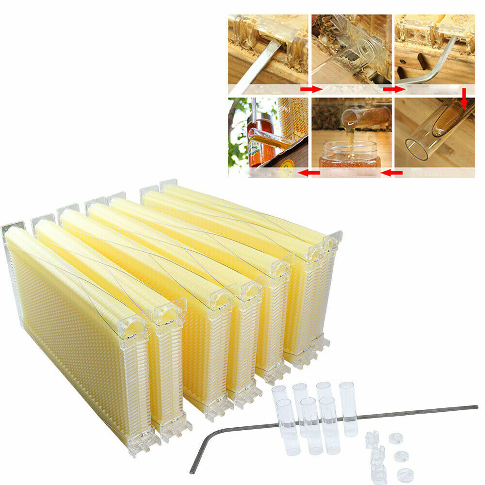 7pcs Auto Oozing Beehives Beekeeping Frames Honey Comb Frames Bee Frames
