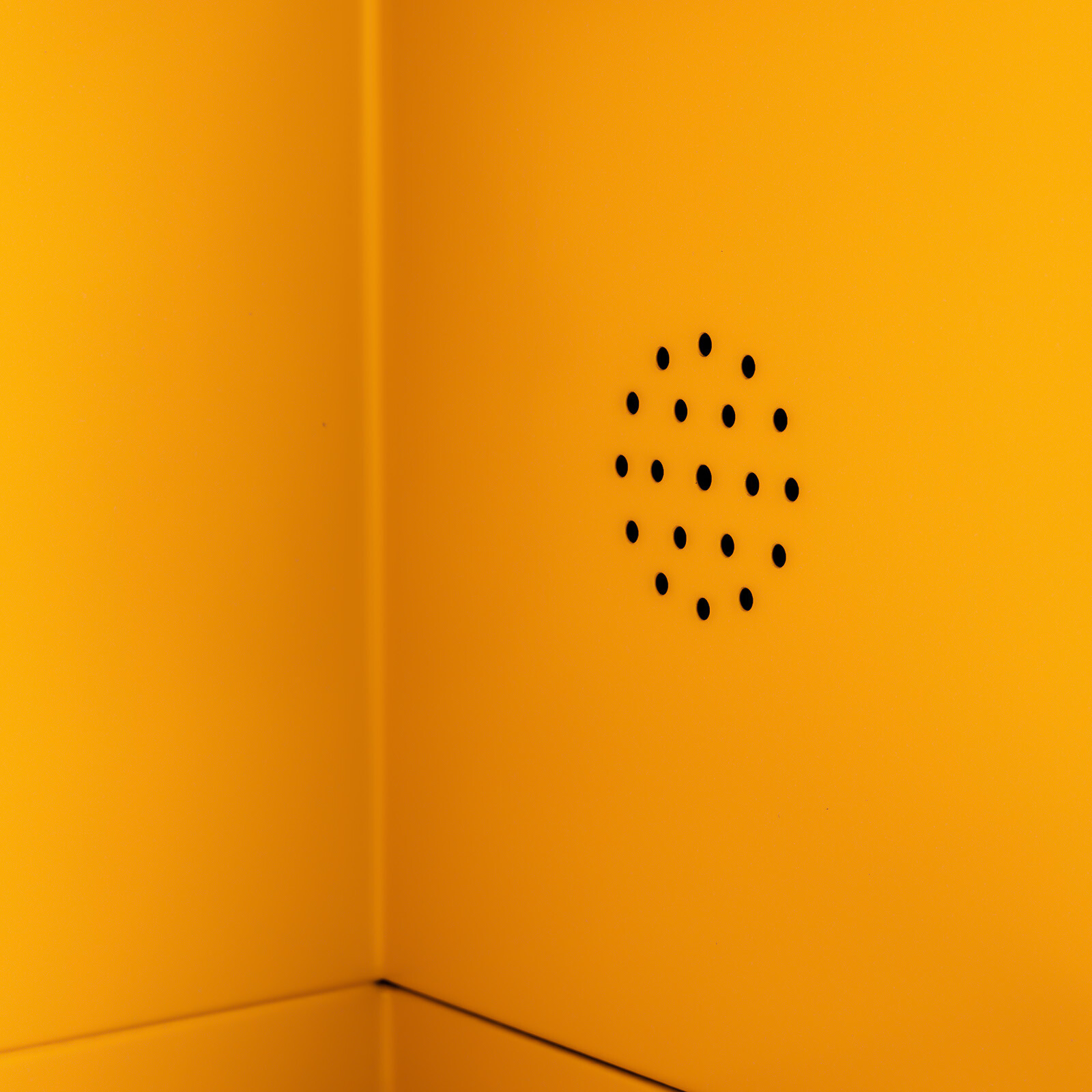 12 Gal Capacity Flammable Storage Cabinet for Liquids Flammable Safety Cabinet