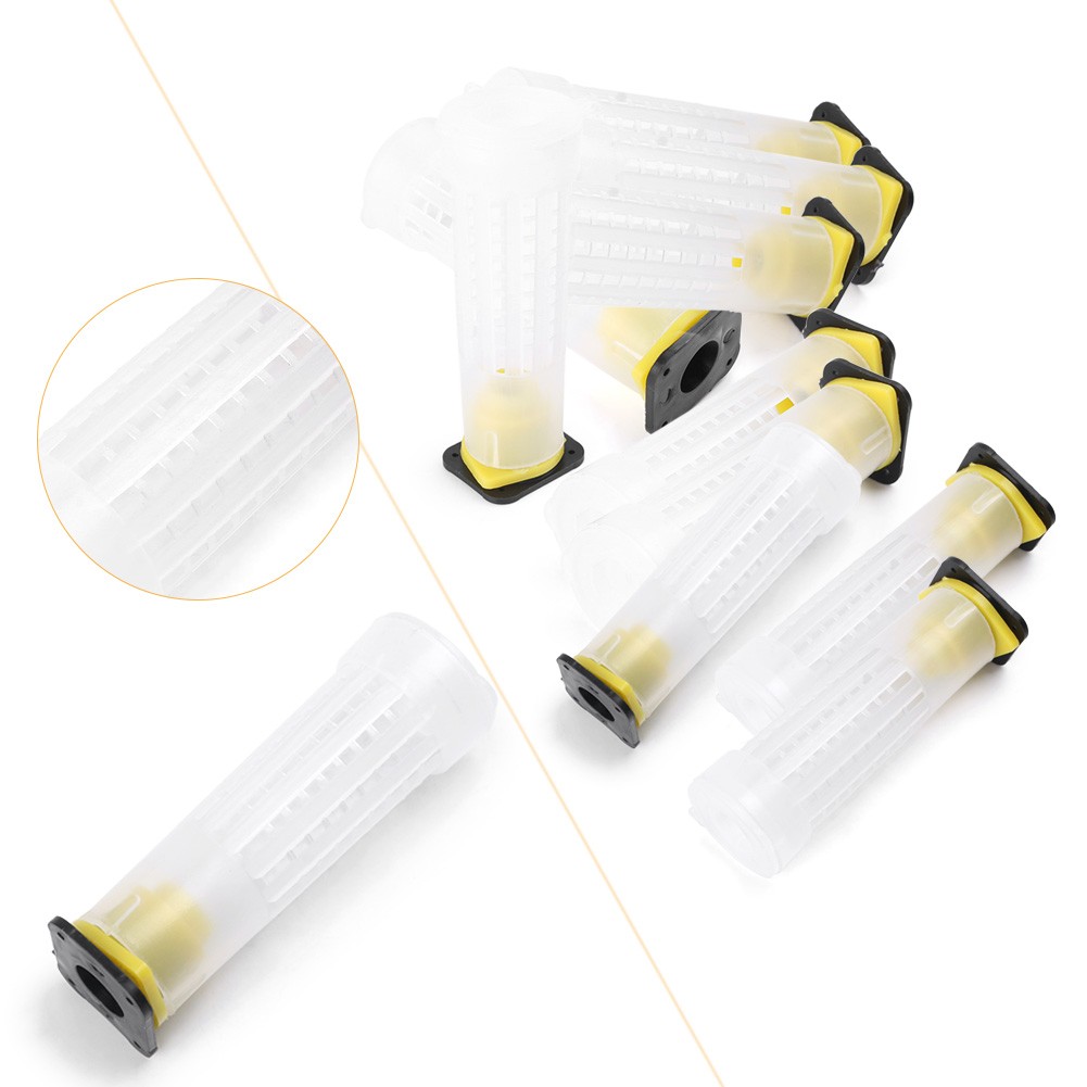 Beekeeping Rearing Cup Kit Queen Bee Cages Beekeeper Equipment Tools ff 10 PCS