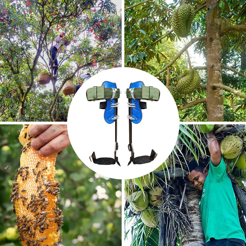 Tree Climbing Spikes Kit Adjustable Height Tree Climbing Set For Jungle Survival