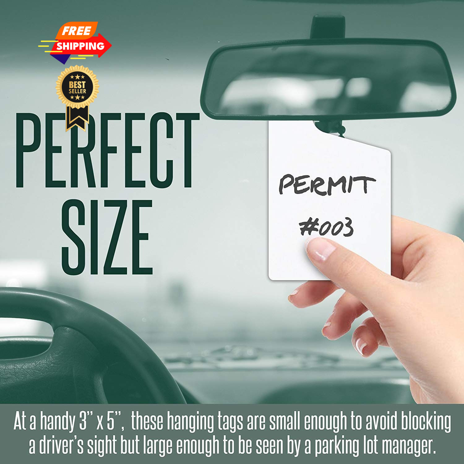 Parking Pass Hang Tags, White 10 pk 3x5in, Car 3x5x0.02 inches,