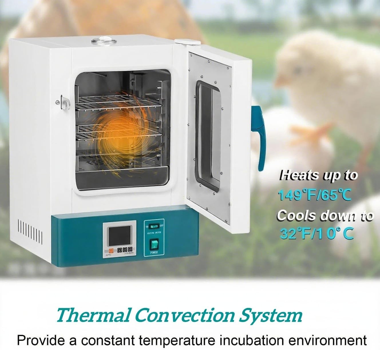 Lab Incubator 20L Precise Temperature Control 0-65°C Digital Microbiological